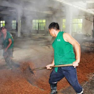 喚醒兩千余條窖池，新的釀酒季由此開始