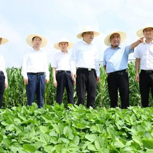 梁言順在阜陽市調研時強調 堅持多種糧種好糧全力保障國家糧食安全 加快皖北地區(qū)全面振興步伐 ...